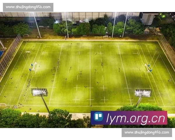 全方位体育直播平台打造实时赛事体验 提供专业解说与互动功能