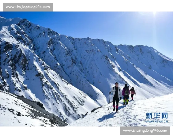 体育新闻一站式在线阅读平台 全面覆盖最新赛事动态与深度分析